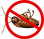 Уничтожение тараканов по низким ценам в Санкт-Петербурге